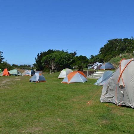 Dunedin Holiday Park Экстерьер фото